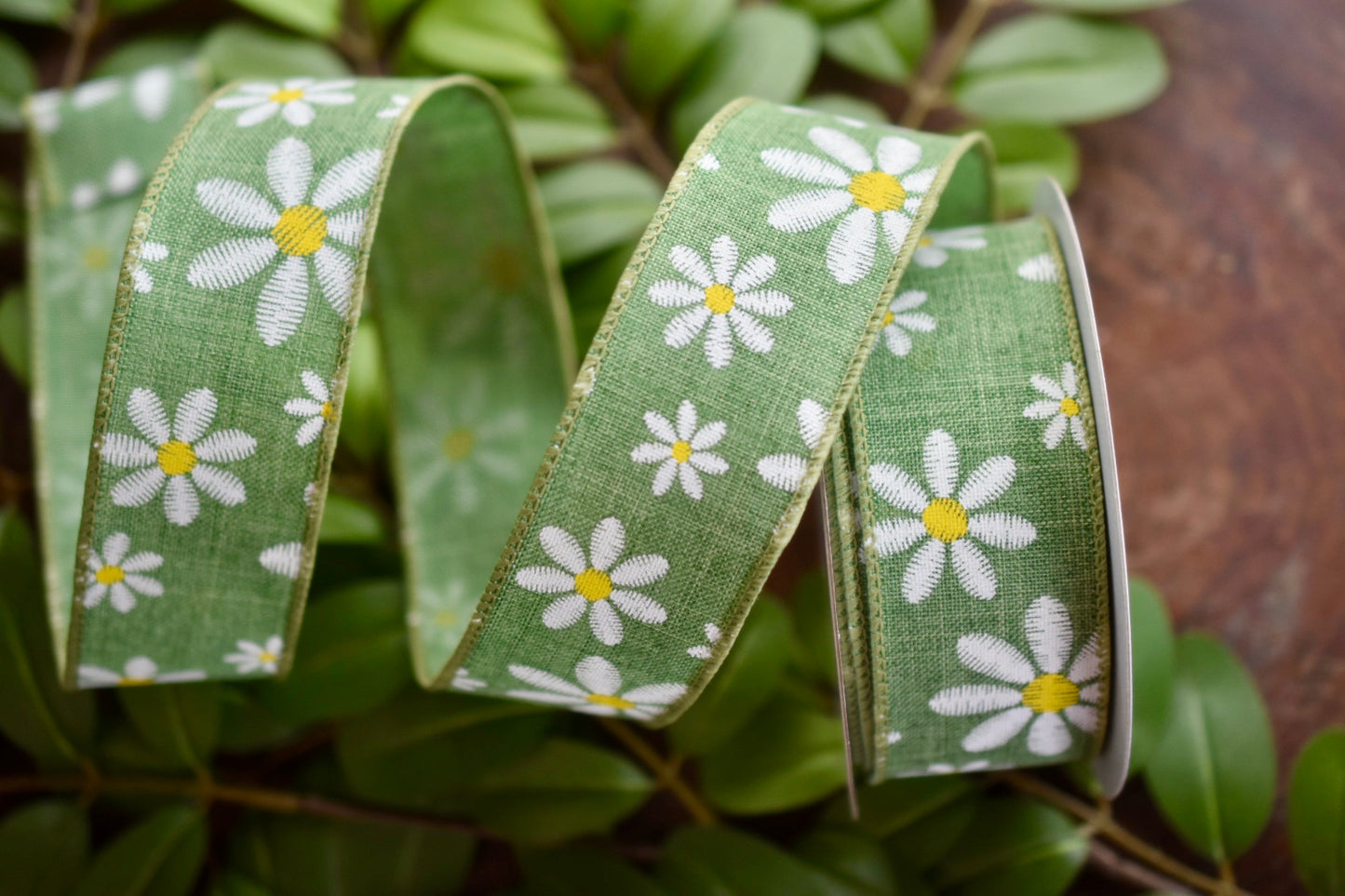 Faux Embroidery Daisy Ribbon (1.5 inch) - SP4